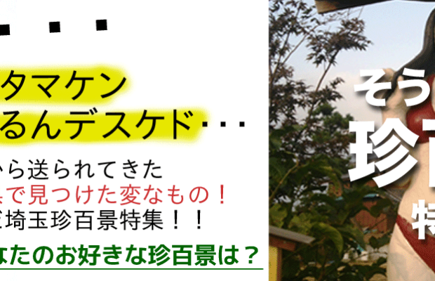 そうだ埼玉珍百景特集! そうだ埼玉珍百景特集!