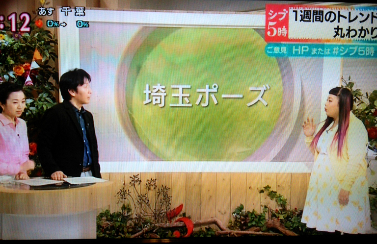 NHK「ニュース シブ5時」で当サイト発の埼玉ポーズが紹介されました！