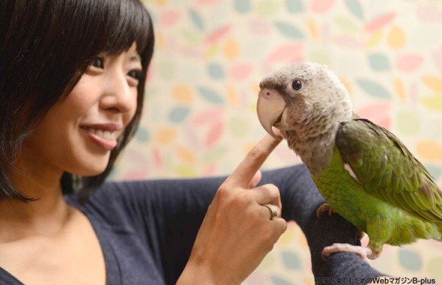 日本でここだけ !  オウム、大型インコ専門の鳥カフェが埼玉にOPEN