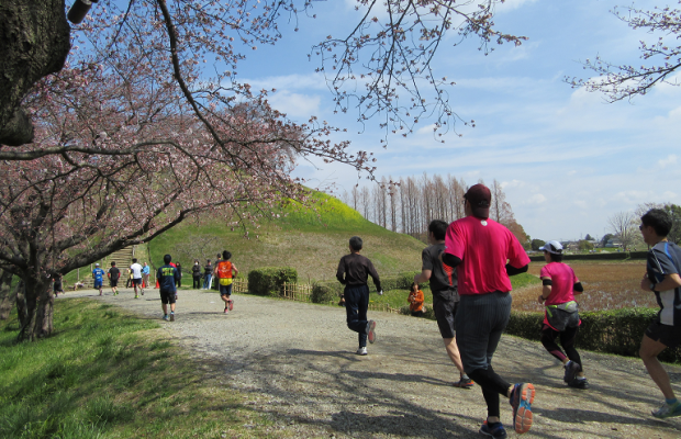 春だ！桜だ！第33回行田市鉄剣マラソン大会