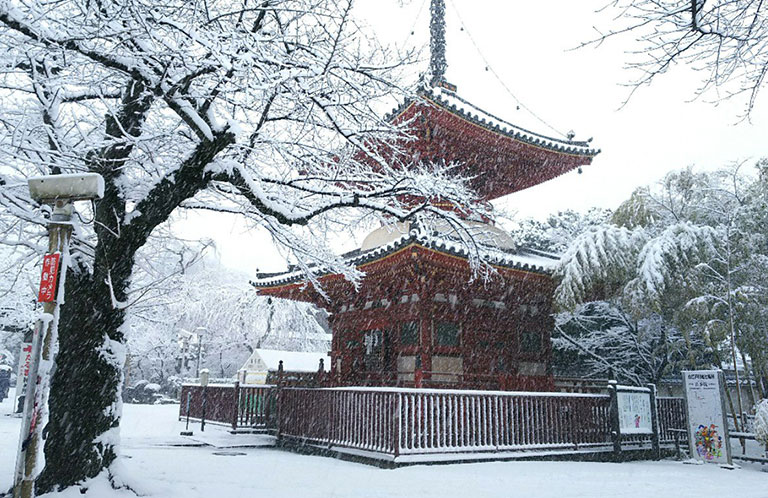 みんなが投稿した美しき埼玉の雪景色まとめ10選 2018