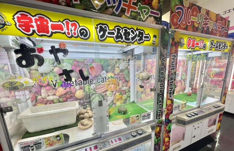 野菜からコストコまで！八潮市「エブリデイとってき屋 東京本店」衝撃のクレーンゲーム5選 | そうだ埼玉.com