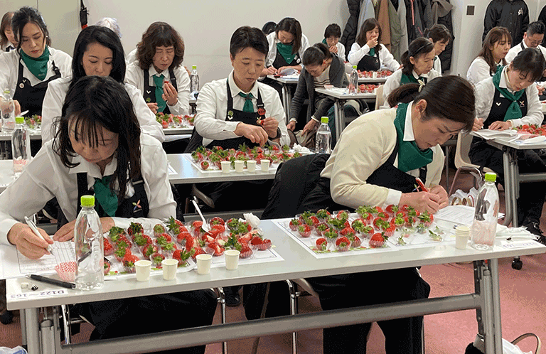 埼玉いちごの逆襲。こうして埼玉は全国一位のいちごを生み出した